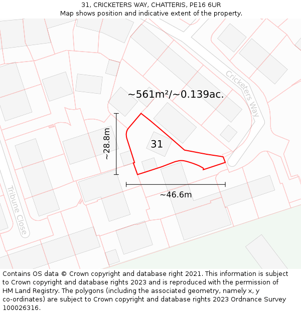 31, CRICKETERS WAY, CHATTERIS, PE16 6UR: Plot and title map
