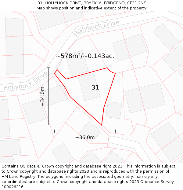 31, HOLLYHOCK DRIVE, BRACKLA, BRIDGEND, CF31 2NS: Plot and title map
