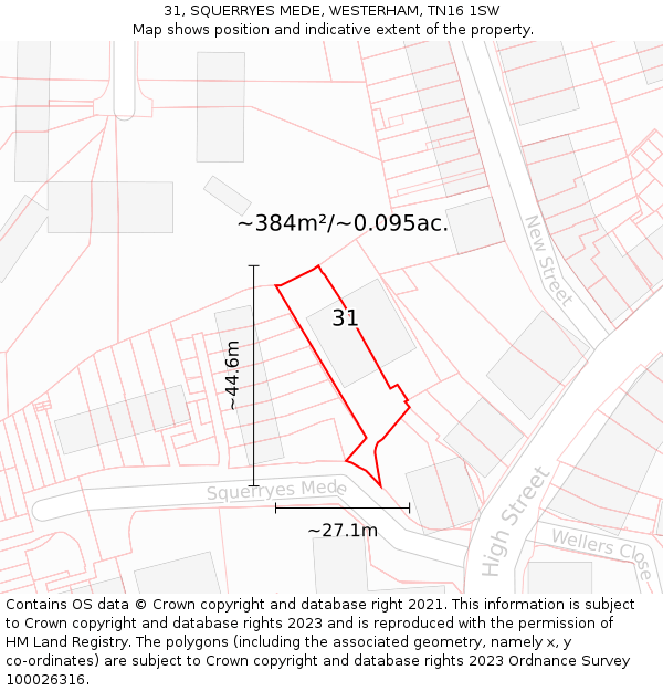 31, SQUERRYES MEDE, WESTERHAM, TN16 1SW: Plot and title map