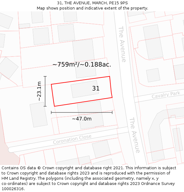 31, THE AVENUE, MARCH, PE15 9PS: Plot and title map