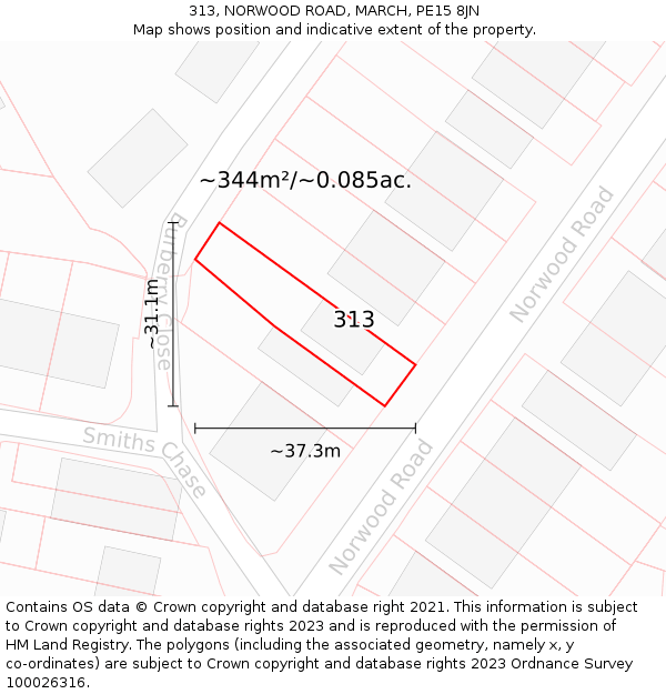 313, NORWOOD ROAD, MARCH, PE15 8JN: Plot and title map
