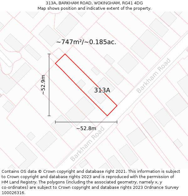 313A, BARKHAM ROAD, WOKINGHAM, RG41 4DG: Plot and title map