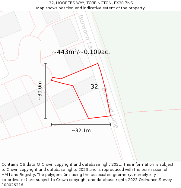 32, HOOPERS WAY, TORRINGTON, EX38 7NS: Plot and title map