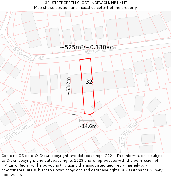 32, STEEPGREEN CLOSE, NORWICH, NR1 4NF: Plot and title map