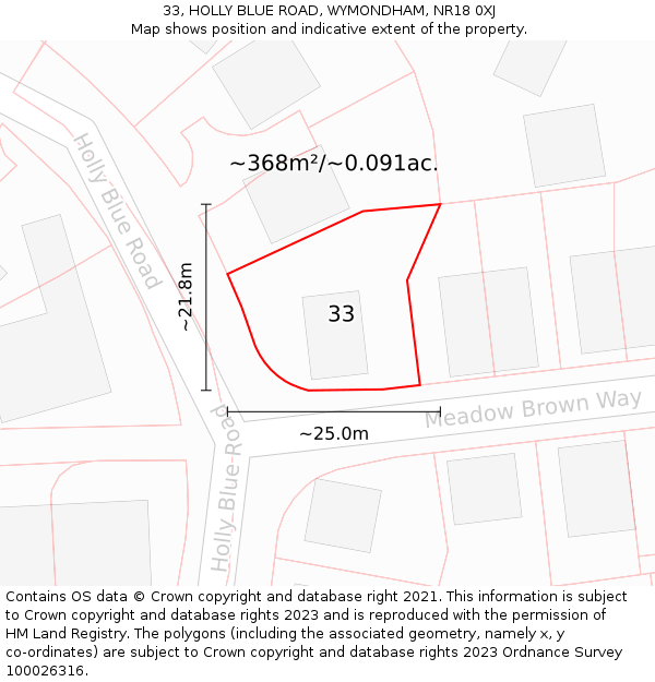 33, HOLLY BLUE ROAD, WYMONDHAM, NR18 0XJ: Plot and title map