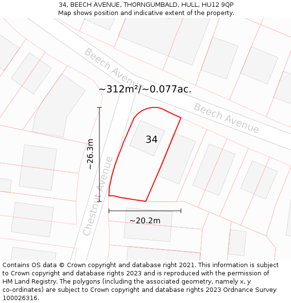 34, BEECH AVENUE, THORNGUMBALD, HULL, HU12 9QP: Plot and title map