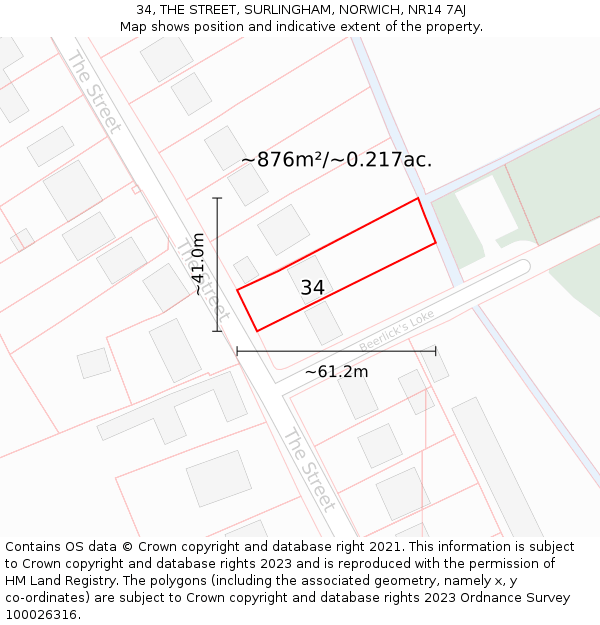 34, THE STREET, SURLINGHAM, NORWICH, NR14 7AJ: Plot and title map