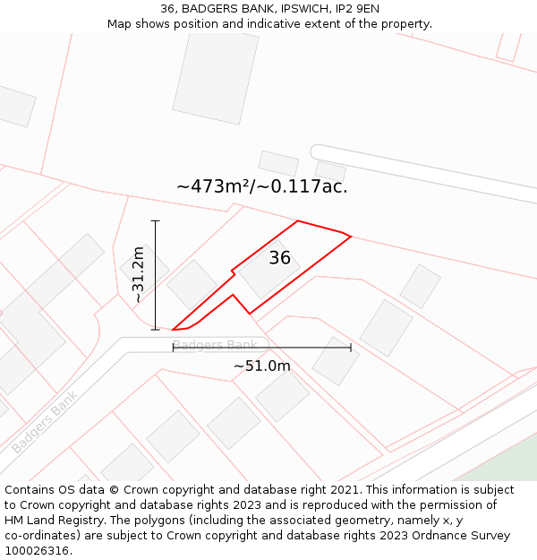 36, BADGERS BANK, IPSWICH, IP2 9EN: Plot and title map