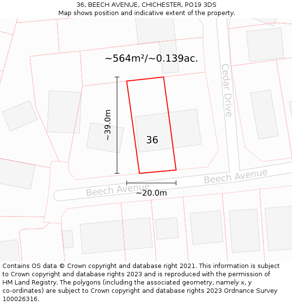 36, BEECH AVENUE, CHICHESTER, PO19 3DS: Plot and title map