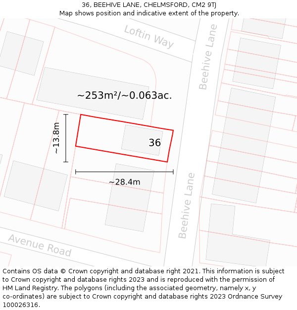 36, BEEHIVE LANE, CHELMSFORD, CM2 9TJ: Plot and title map