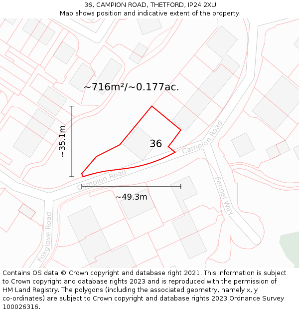 36, CAMPION ROAD, THETFORD, IP24 2XU: Plot and title map