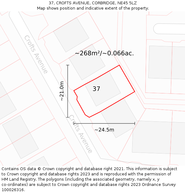 37, CROFTS AVENUE, CORBRIDGE, NE45 5LZ: Plot and title map