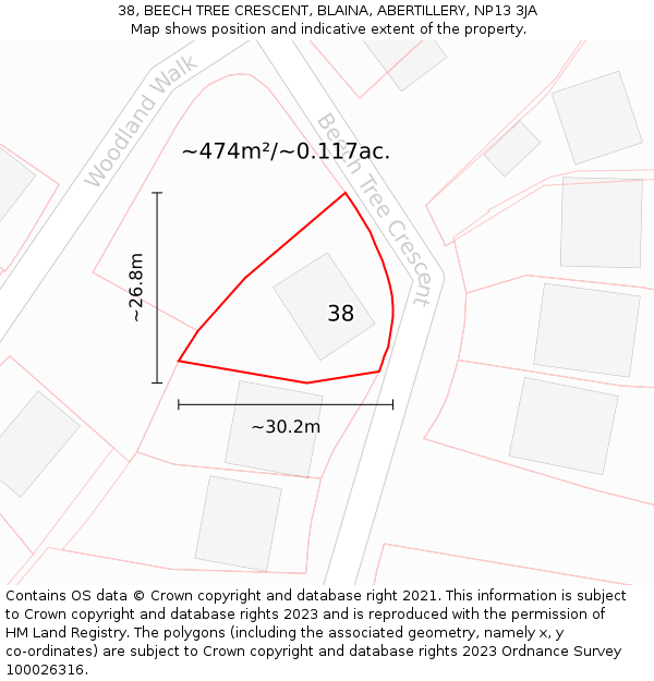 38, BEECH TREE CRESCENT, BLAINA, ABERTILLERY, NP13 3JA: Plot and title map
