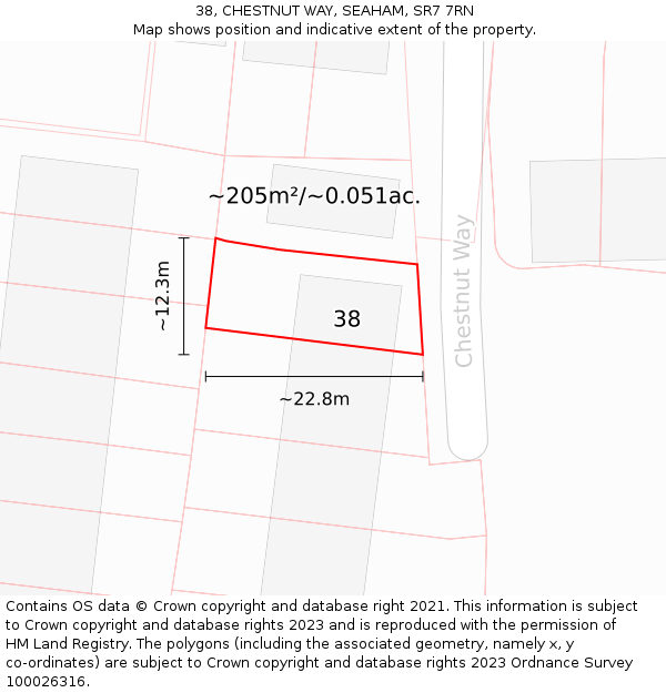 38, CHESTNUT WAY, SEAHAM, SR7 7RN: Plot and title map