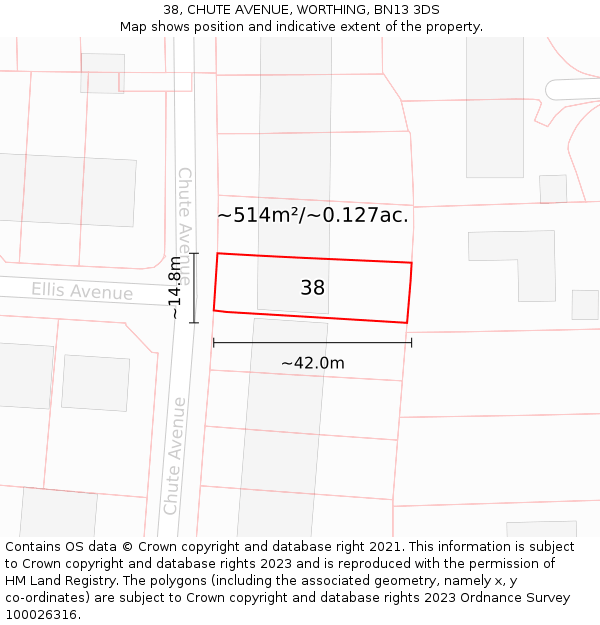 38, CHUTE AVENUE, WORTHING, BN13 3DS: Plot and title map