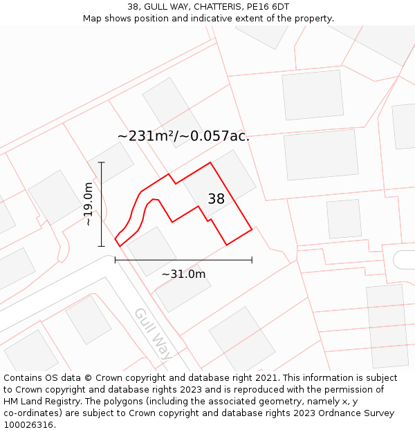38, GULL WAY, CHATTERIS, PE16 6DT: Plot and title map