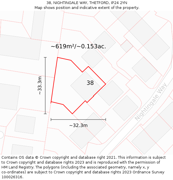 38, NIGHTINGALE WAY, THETFORD, IP24 2YN: Plot and title map