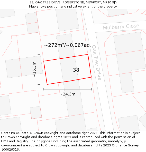 38, OAK TREE DRIVE, ROGERSTONE, NEWPORT, NP10 9JN: Plot and title map