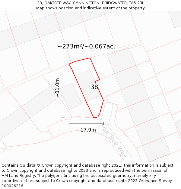 38, OAKTREE WAY, CANNINGTON, BRIDGWATER, TA5 2RL: Plot and title map