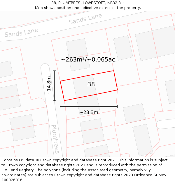 38, PLUMTREES, LOWESTOFT, NR32 3JH: Plot and title map
