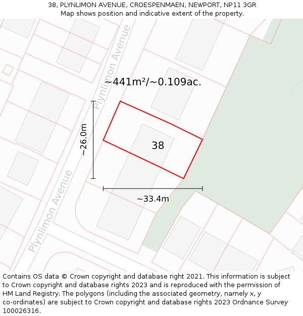 38, PLYNLIMON AVENUE, CROESPENMAEN, NEWPORT, NP11 3GR: Plot and title map