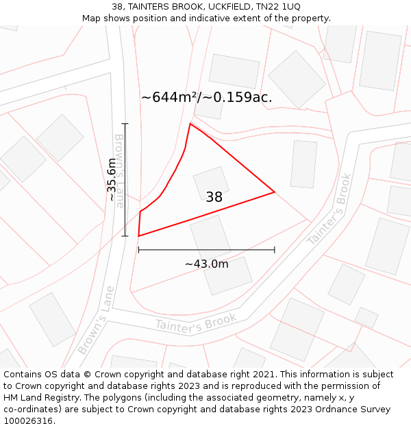 38, TAINTERS BROOK, UCKFIELD, TN22 1UQ: Plot and title map