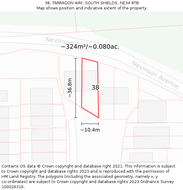 38, TARRAGON WAY, SOUTH SHIELDS, NE34 8TB: Plot and title map