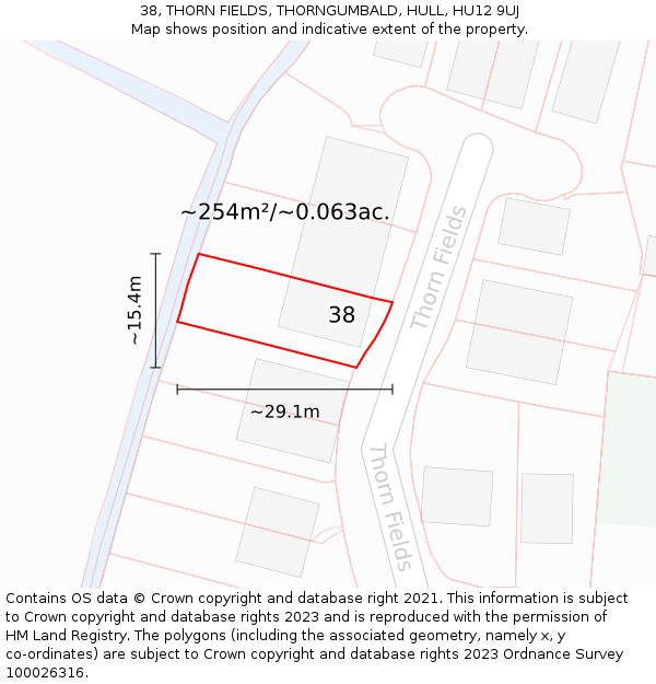 38, THORN FIELDS, THORNGUMBALD, HULL, HU12 9UJ: Plot and title map