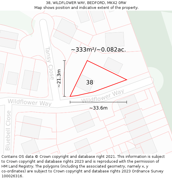 38, WILDFLOWER WAY, BEDFORD, MK42 0RW: Plot and title map