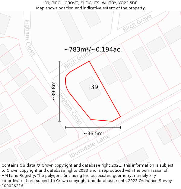 39, BIRCH GROVE, SLEIGHTS, WHITBY, YO22 5DE: Plot and title map
