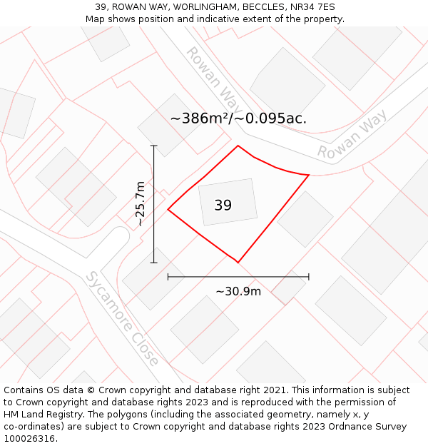 39, ROWAN WAY, WORLINGHAM, BECCLES, NR34 7ES: Plot and title map