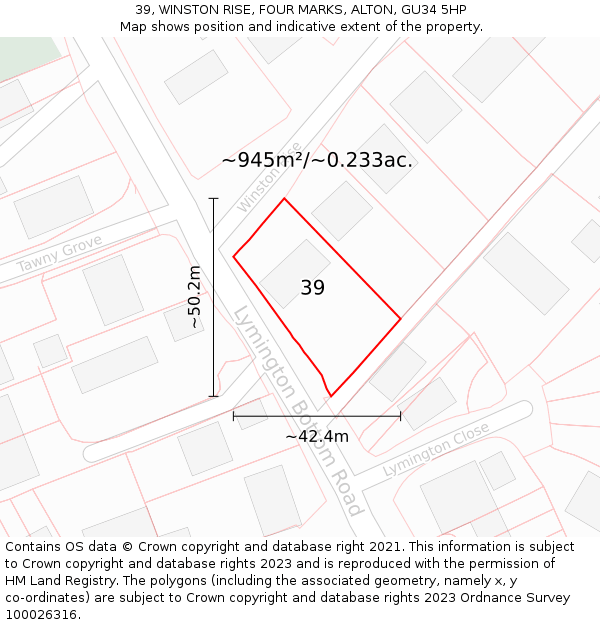 39, WINSTON RISE, FOUR MARKS, ALTON, GU34 5HP: Plot and title map