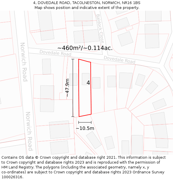4, DOVEDALE ROAD, TACOLNESTON, NORWICH, NR16 1BS: Plot and title map