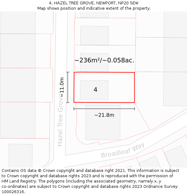 4, HAZEL TREE GROVE, NEWPORT, NP20 5EW: Plot and title map