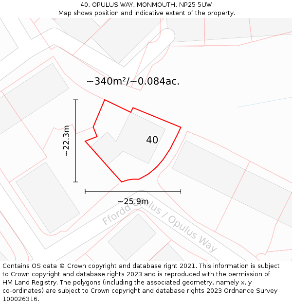 40, OPULUS WAY, MONMOUTH, NP25 5UW: Plot and title map