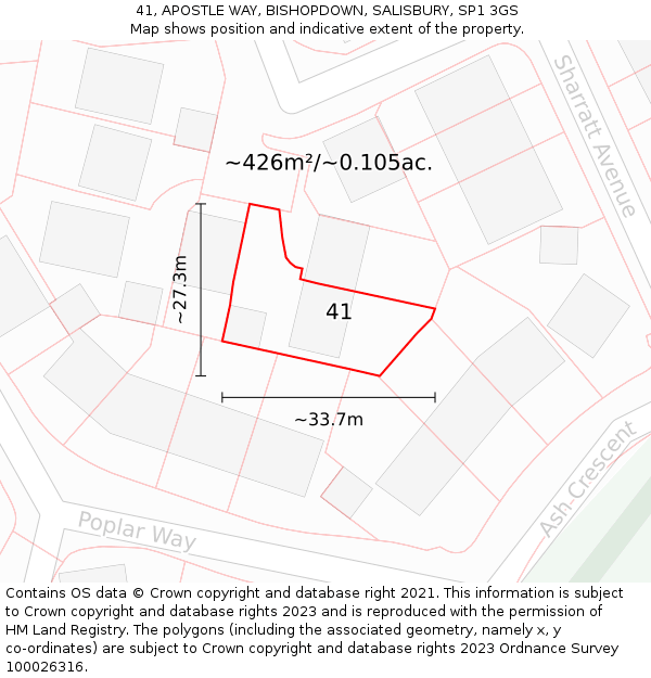 41, APOSTLE WAY, BISHOPDOWN, SALISBURY, SP1 3GS: Plot and title map