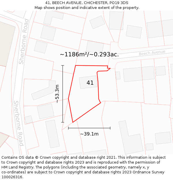 41, BEECH AVENUE, CHICHESTER, PO19 3DS: Plot and title map