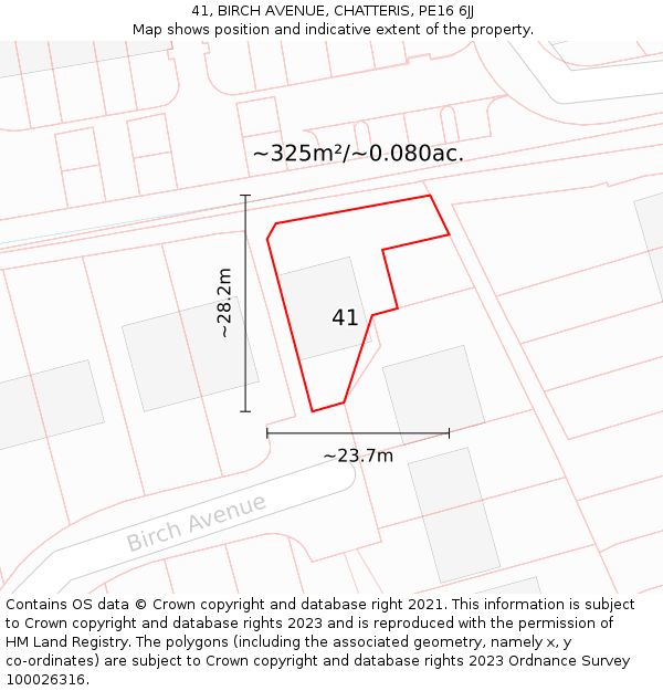 41, BIRCH AVENUE, CHATTERIS, PE16 6JJ: Plot and title map