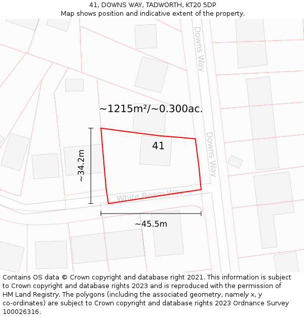 41, DOWNS WAY, TADWORTH, KT20 5DP: Plot and title map