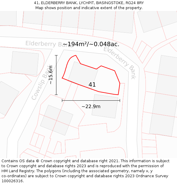 41, ELDERBERRY BANK, LYCHPIT, BASINGSTOKE, RG24 8RY: Plot and title map