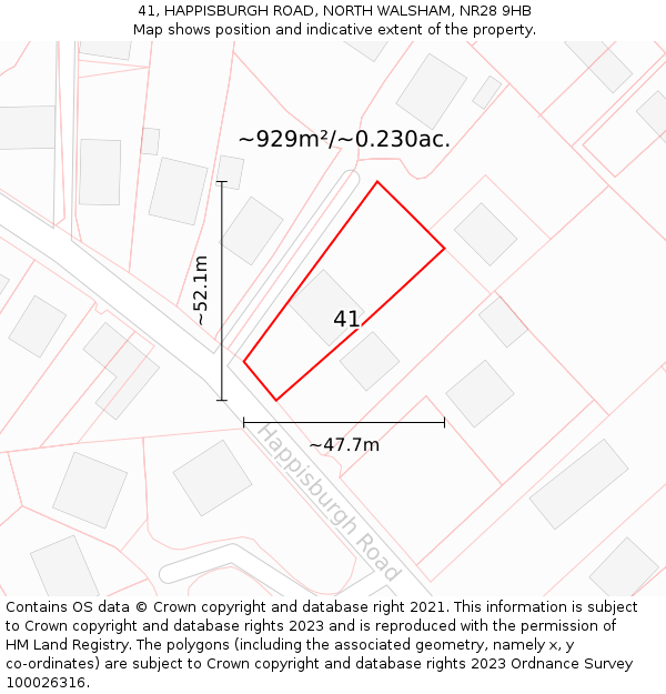 41, HAPPISBURGH ROAD, NORTH WALSHAM, NR28 9HB: Plot and title map