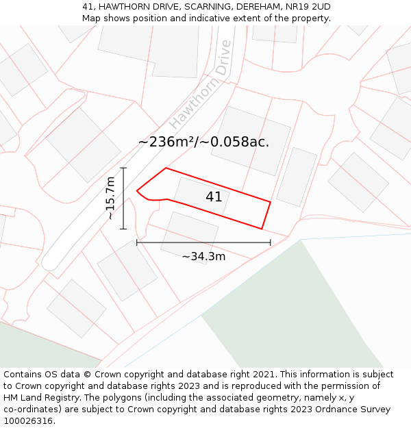 41, HAWTHORN DRIVE, SCARNING, DEREHAM, NR19 2UD: Plot and title map