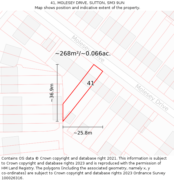 41, MOLESEY DRIVE, SUTTON, SM3 9UN: Plot and title map