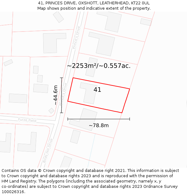 41, PRINCES DRIVE, OXSHOTT, LEATHERHEAD, KT22 0UL: Plot and title map