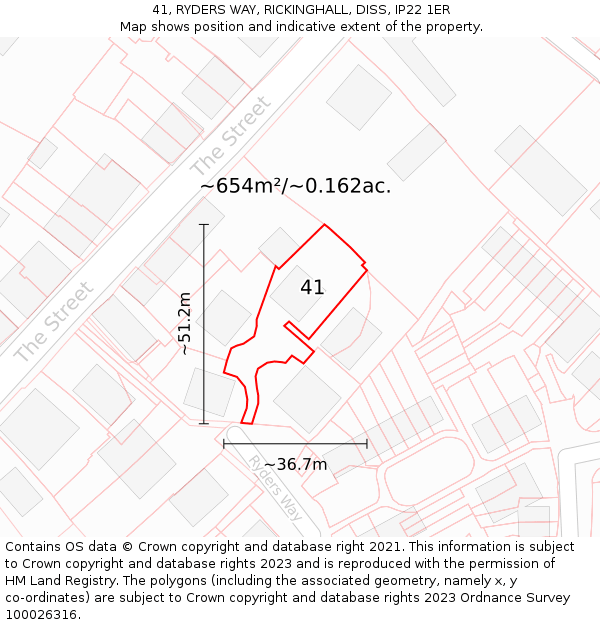 41, RYDERS WAY, RICKINGHALL, DISS, IP22 1ER: Plot and title map