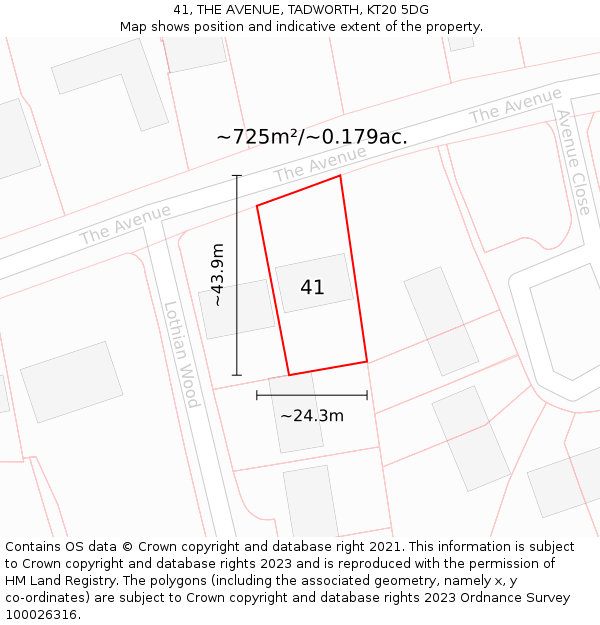 41, THE AVENUE, TADWORTH, KT20 5DG: Plot and title map