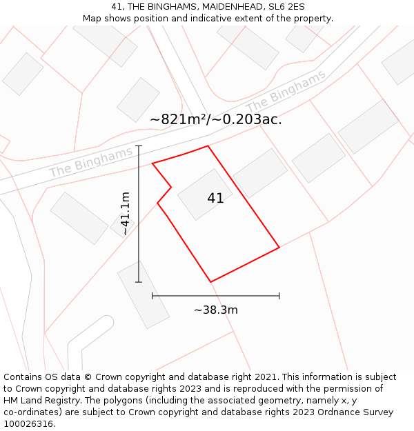 41, THE BINGHAMS, MAIDENHEAD, SL6 2ES: Plot and title map