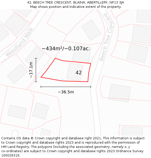 42, BEECH TREE CRESCENT, BLAINA, ABERTILLERY, NP13 3JA: Plot and title map