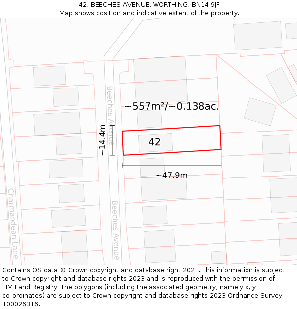 42, BEECHES AVENUE, WORTHING, BN14 9JF: Plot and title map