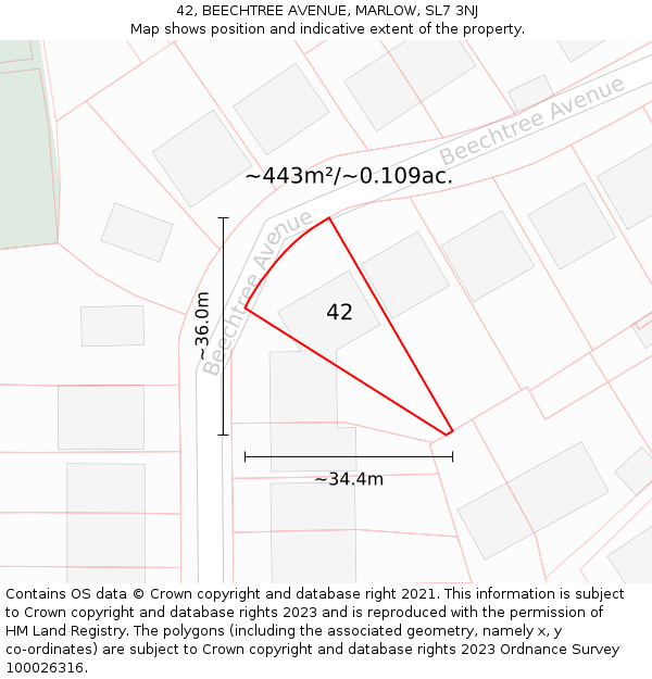 42, BEECHTREE AVENUE, MARLOW, SL7 3NJ: Plot and title map